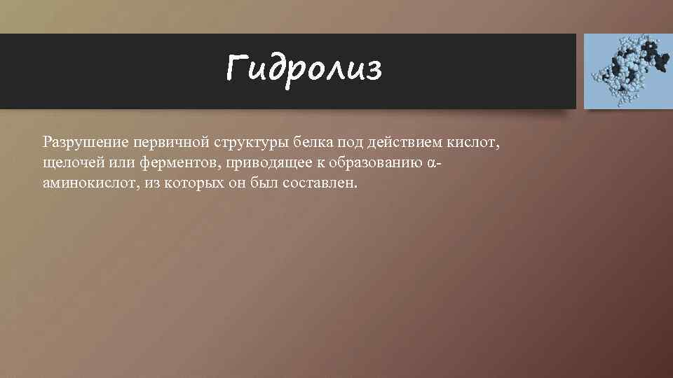 Гидролиз азрушение первичной структуры белка под действием кислот, Р щелочей или ферментов, приводящее к