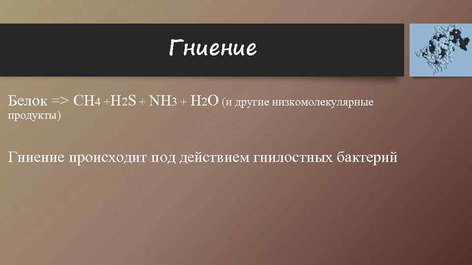 Гниение Белок => СН 4 +H 2 S + NH 3 + H 2