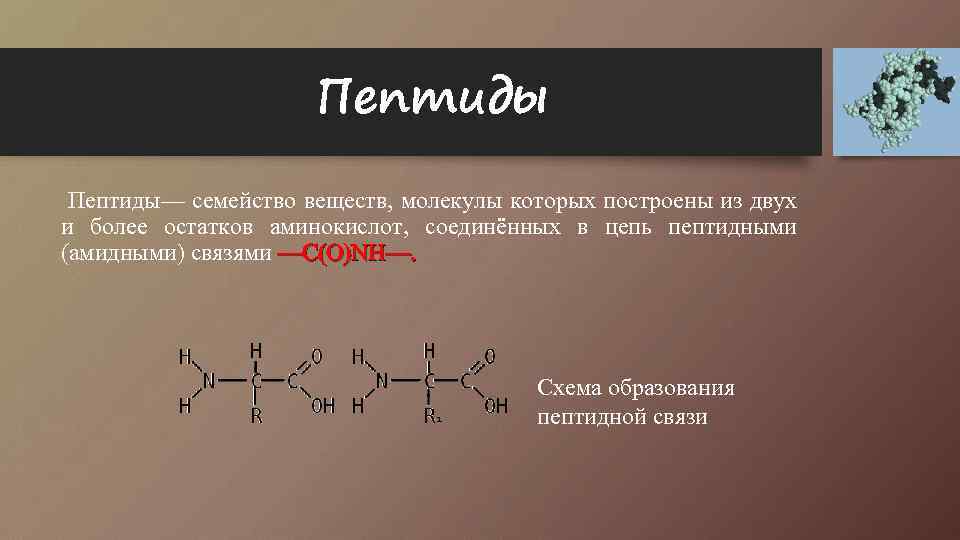 Пептиды отзывы. Построение пептида. Пептиды связи имеются в молекуле. Пептидная связь в цепи. Трипептид построение.