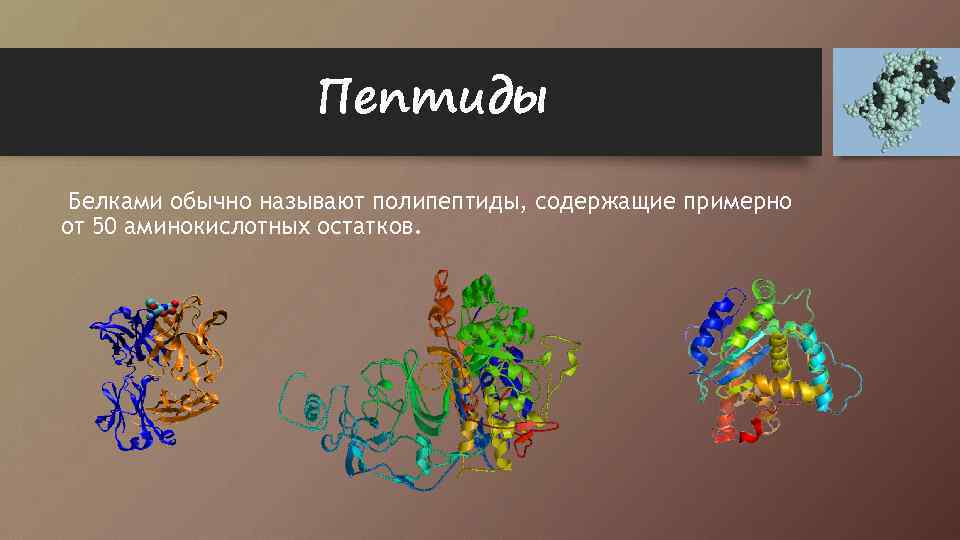 Белки биология 6 класс