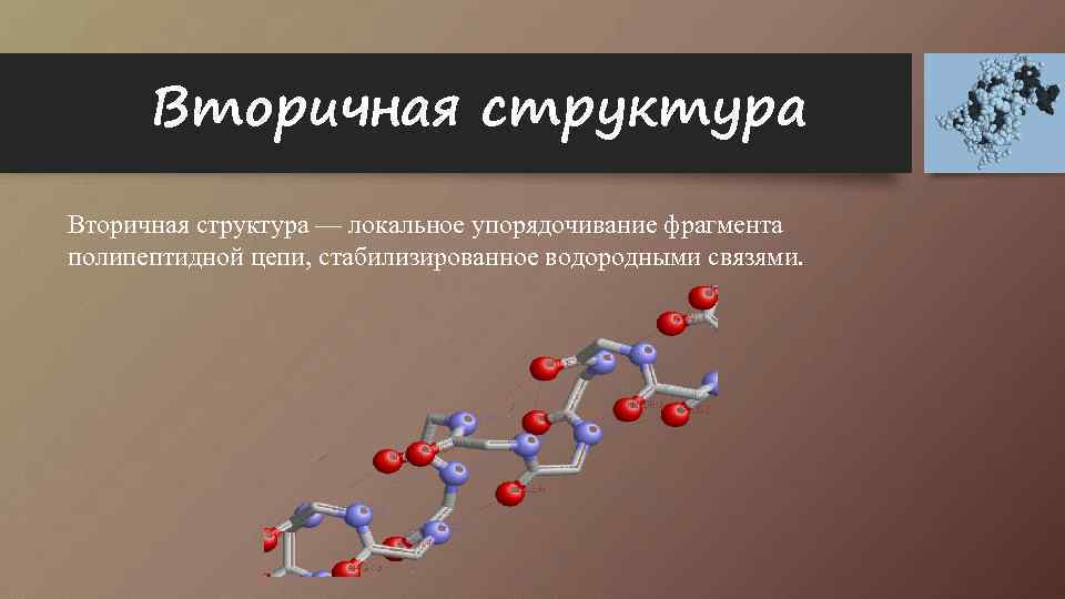 Вторичная структура — локальное упорядочивание фрагмента полипептидной цепи, стабилизированное водородными связями. 