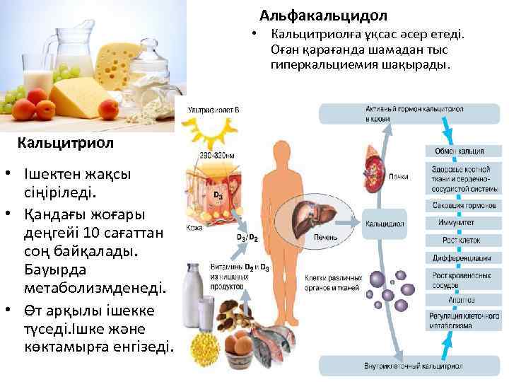 Альфакальцидол • Кальцитриолға ұқсас әсер етеді. Оған қарағанда шамадан тыс гиперкальциемия шақырады. Кальцитриол •