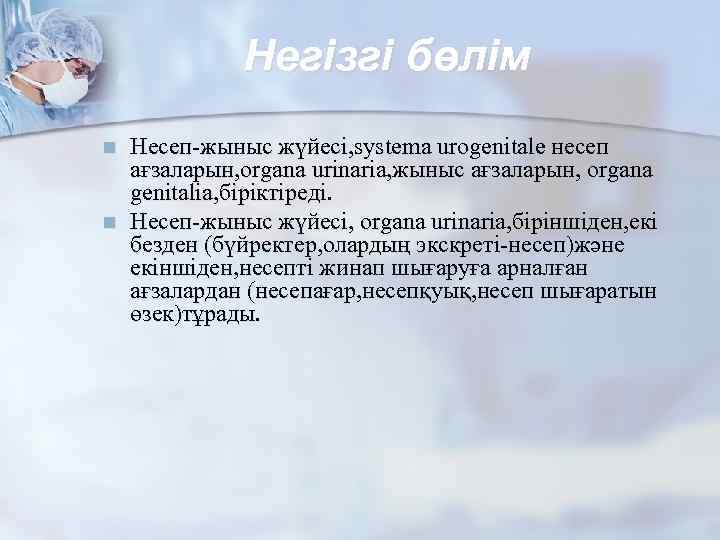 Негізгі бөлім n n Несеп-жыныс жүйесі, systema urogenitale несеп ағзаларын, organa urinaria, жыныс ағзаларын,