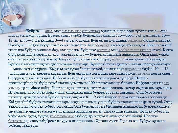 n Бүйрек — адам мен омыртқалы жануарлар организмінде несеп түзетін және оны шығаратын жұп