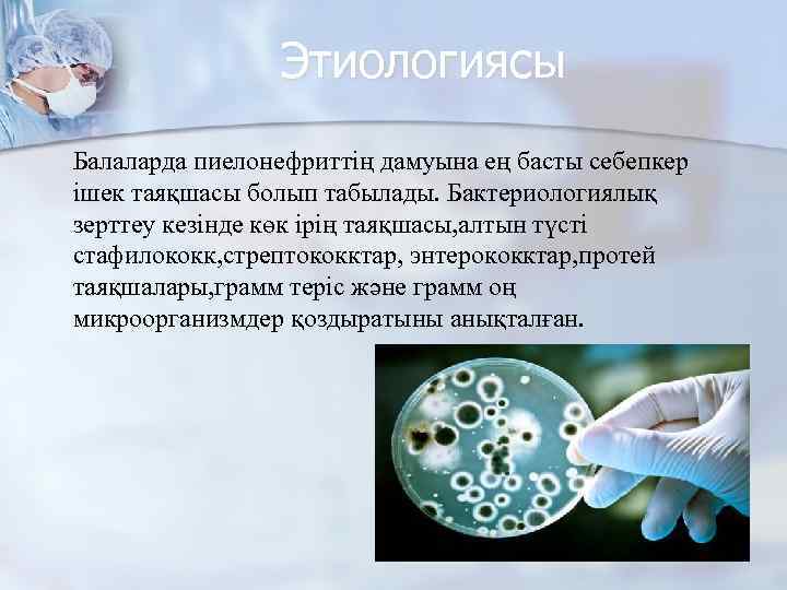 Этиологиясы Балаларда пиелонефриттің дамуына ең басты себепкер ішек таяқшасы болып табылады. Бактериологиялық зерттеу кезінде