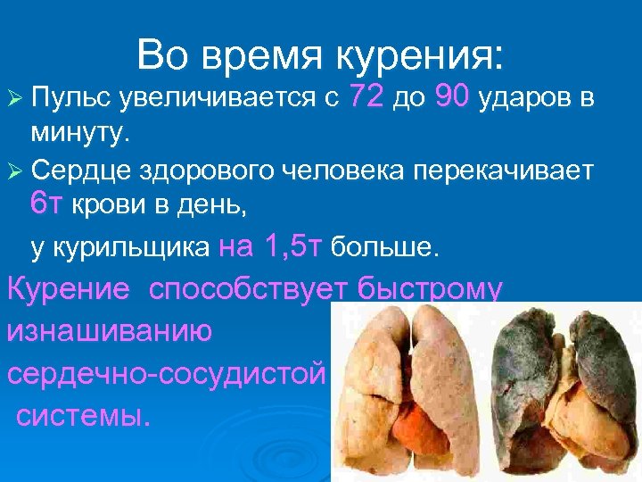 Во время курения: Ø Пульс увеличивается с 72 до 90 ударов в минуту. Ø