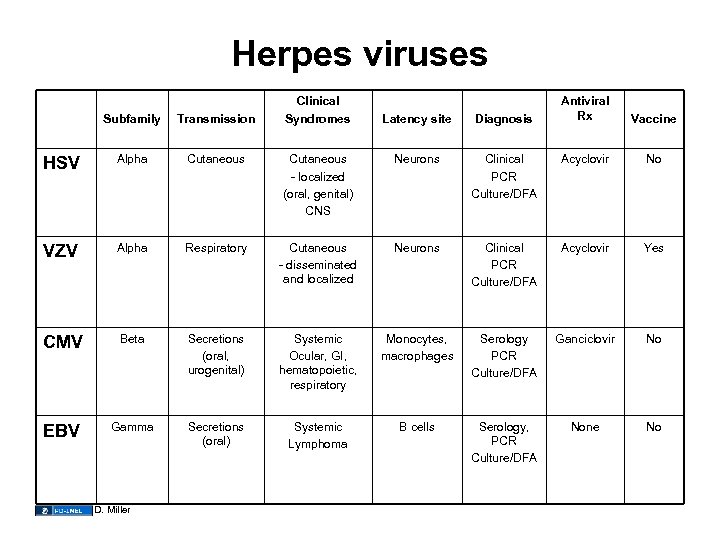 Herpes viruses Subfamily Transmission HSV Alpha Cutaneous VZV Alpha CMV EBV Clinical Syndromes Antiviral