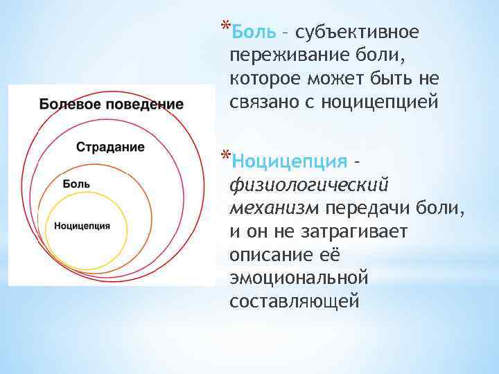 *Боль – субъективное переживание боли, которое может быть не связано с ноцицепцией *Ноцицепция -