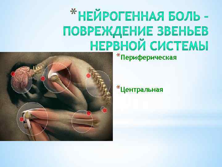* *Периферическая *Центральная 