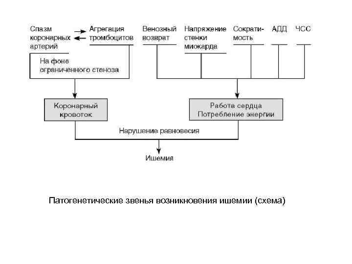  Патогенетические звенья возникновения ишемии (схема) 