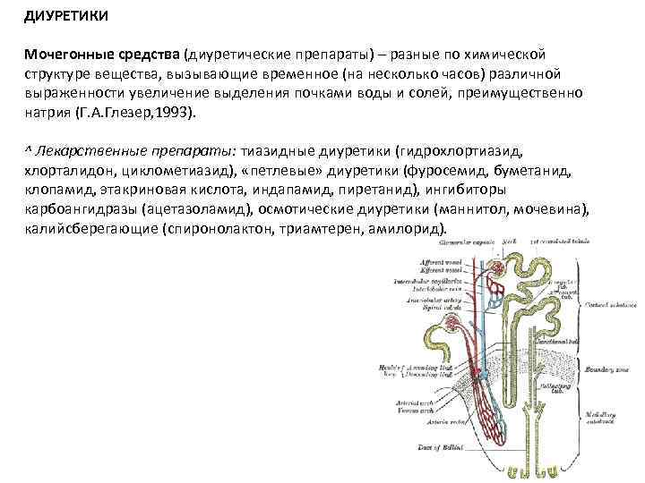 ДИУРЕТИКИ Мочегонные средства (диуретические препараты) – разные по химической структуре вещества, вызывающие временное (на