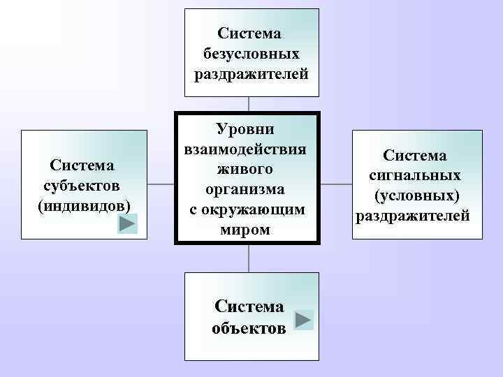 Система безусловных раздражителей Система субъектов (индивидов) Уровни взаимодействия живого организма с окружающим миром Система