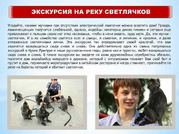 ЭКСКУРСИЯ НА РЕКУ СВЕТЛЯЧКОВ Угадайте, какими жучками при отсутствии электрической лампочки можно осветить дом?