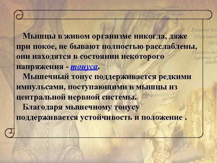  Мышцы в живом организме никогда, даже при покое, не бывают полностью расслаблены, они