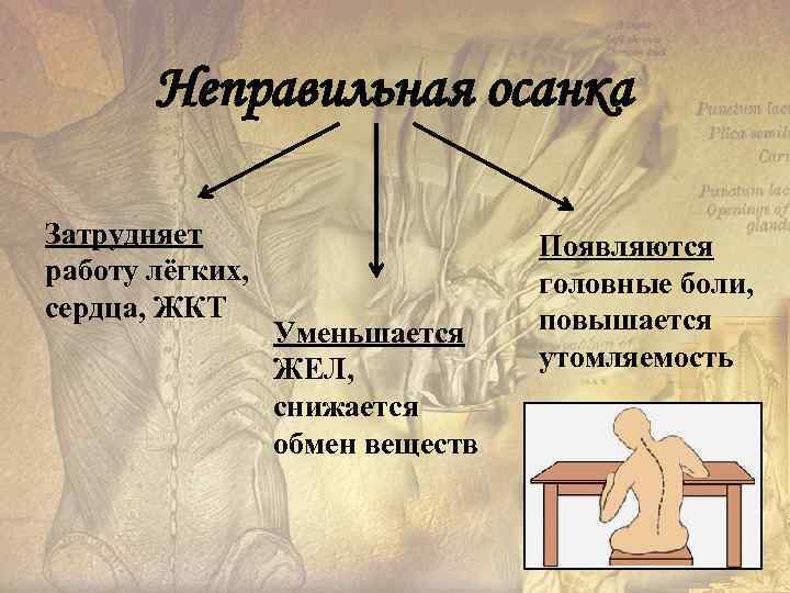 Неправильная осанка Затрудняет работу лёгких, сердца, ЖКТ Уменьшается ЖЕЛ, снижается обмен веществ Появляются головные