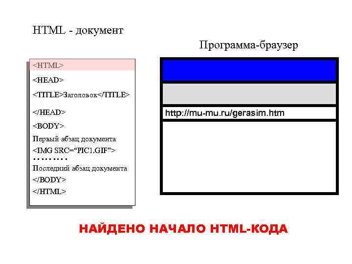 HTML - документ Программа-браузер <HTML> <HEAD> <TITLE>Заголовок</TITLE> </HEAD> http: //mu-mu. ru/gerasim. htm <BODY> Первый