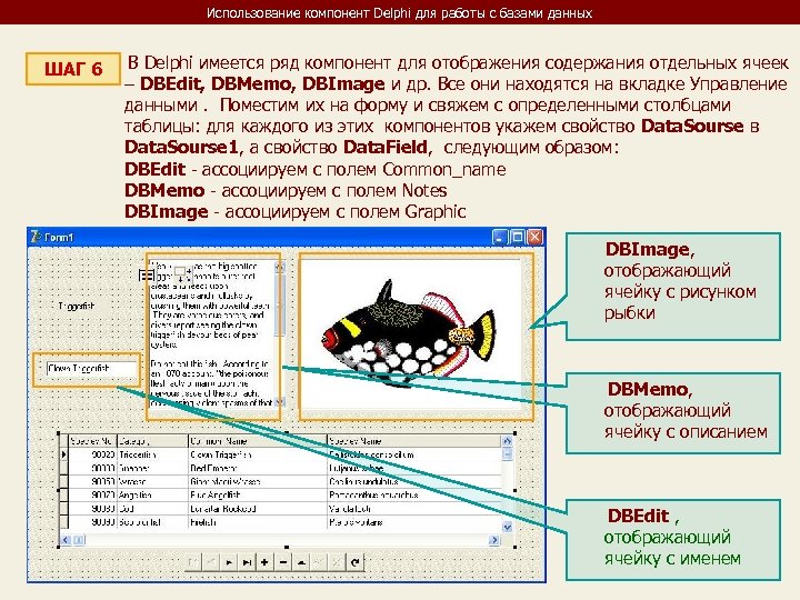 Использование компонент Delphi для работы с базами данных В Delphi имеется ряд компонент для
