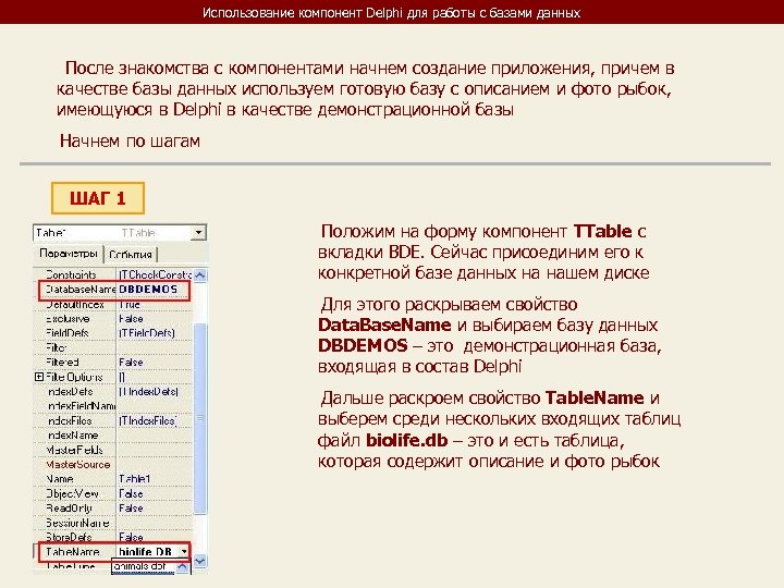 Использование компонент Delphi для работы с базами данных После знакомства с компонентами начнем создание