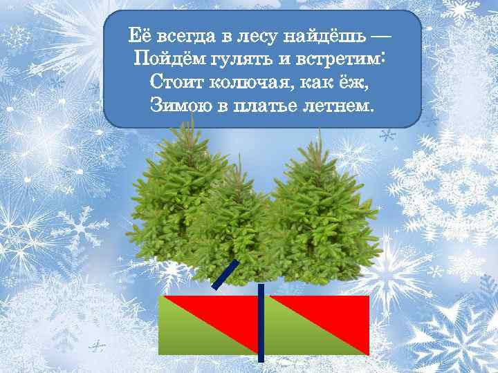 Её всегда в лесу найдёшь — Пойдём гулять и встретим: Стоит колючая, как ёж,