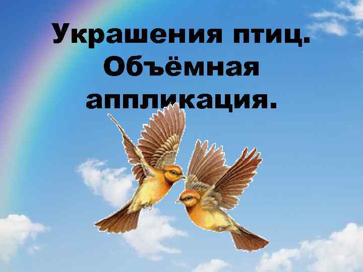 Украшения птиц. Объёмная аппликация. 