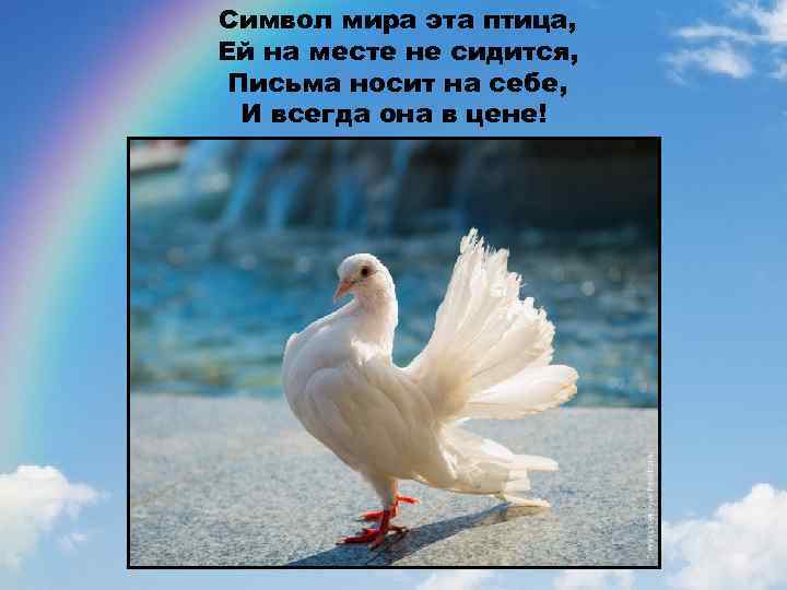 Символ мира эта птица, Ей на месте не сидится, Письма носит на себе, И