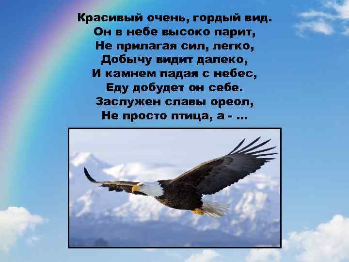 Красивый очень, гордый вид. Он в небе высоко парит, Не прилагая сил, легко, Добычу