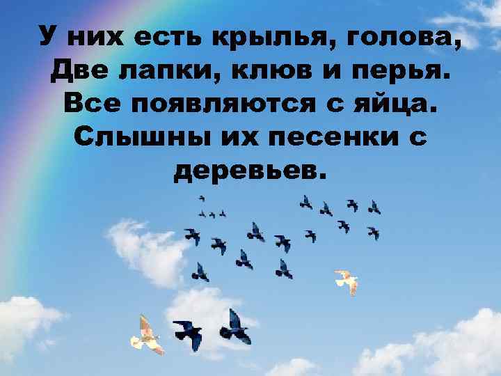 У них есть крылья, голова, Две лапки, клюв и перья. Все появляются с яйца.