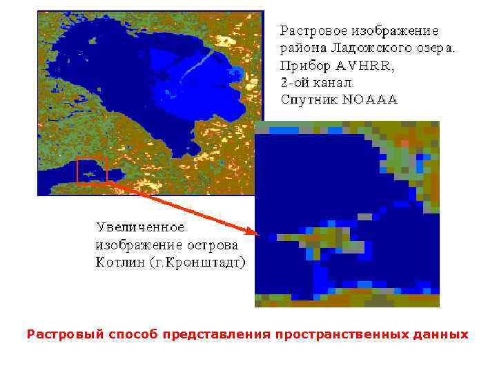 Растровый способ представления пространственных данных 