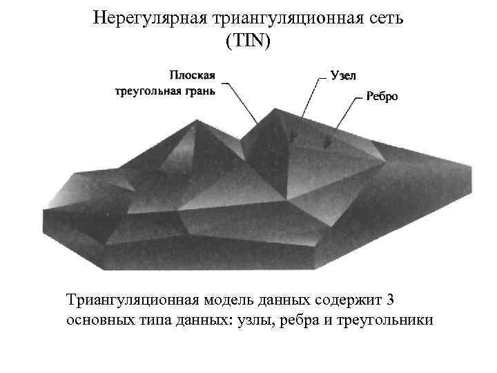 Нерегулярная триангуляционная сеть (ТIN) Триангуляционная модель данных содержит 3 основных типа данных: узлы, ребра