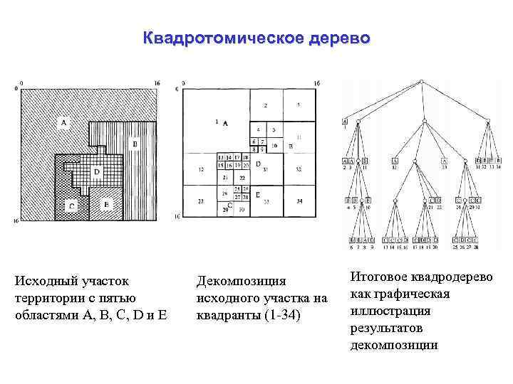 Квадротомическое дерево Исходный участок территории с пятью областями A, B, C, D и E