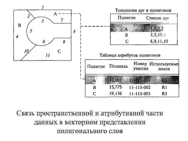 Связь пространственной и атрибутивной части данных в векторном представлении полигонального слоя 