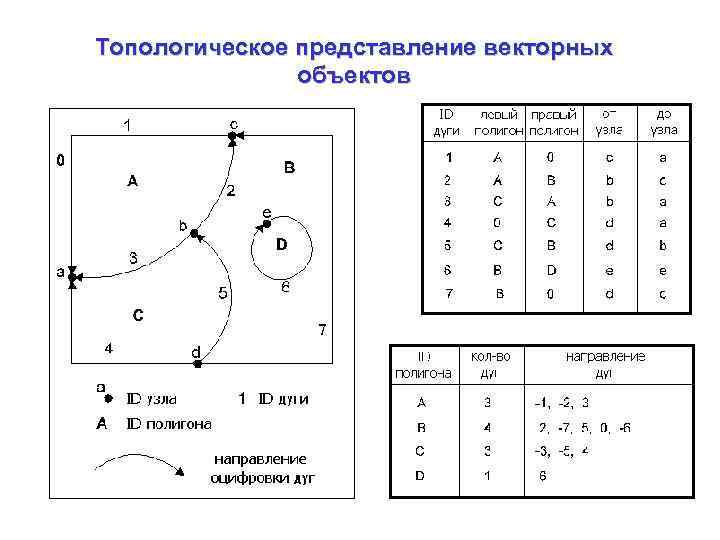 Топологическое представление векторных объектов 