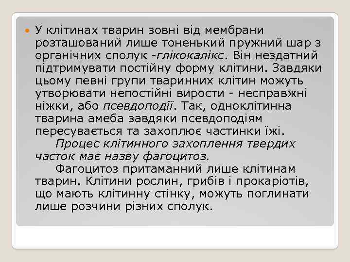  У клітинах тварин зовні від мембрани розташований лише тоненький пружний шар з органічних