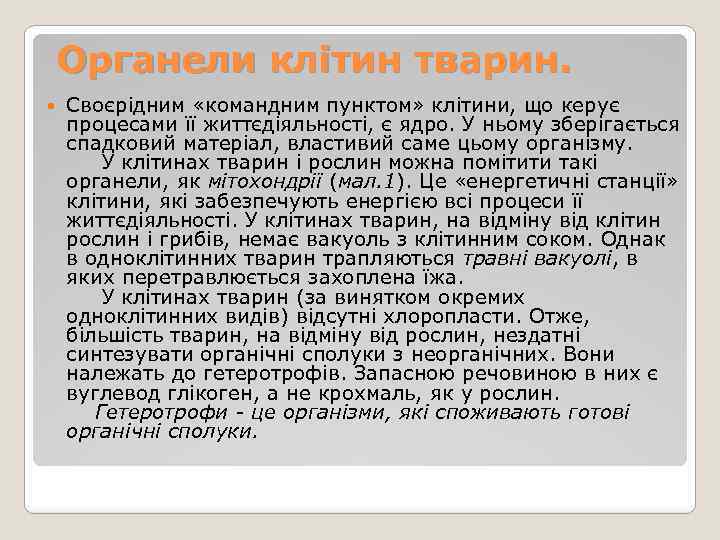  Органели клітин тварин. Своєрідним «командним пунктом» клітини, що керує процесами її життєдіяльності, є