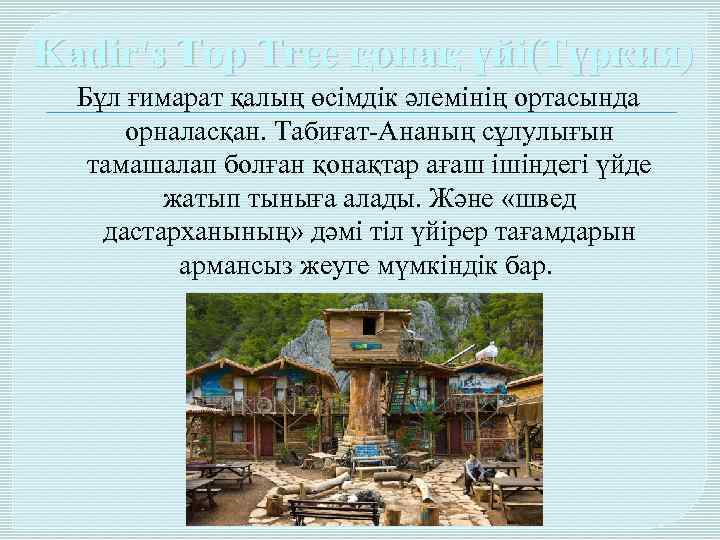 Kadir's Top Tree қонақ үйі(Түркия) Бұл ғимарат қалың өсімдік әлемінің ортасында орналасқан. Табиғат-Ананың сұлулығын