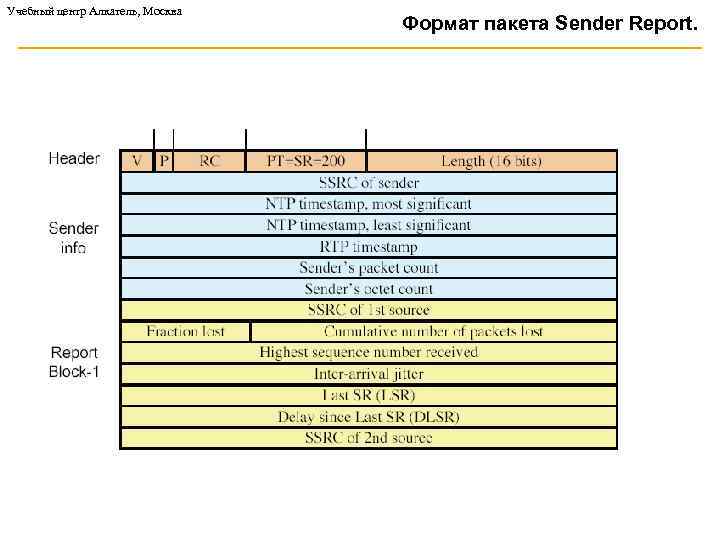 Учебный центр Алкатель, Москва Формат пакета Sender Report. 