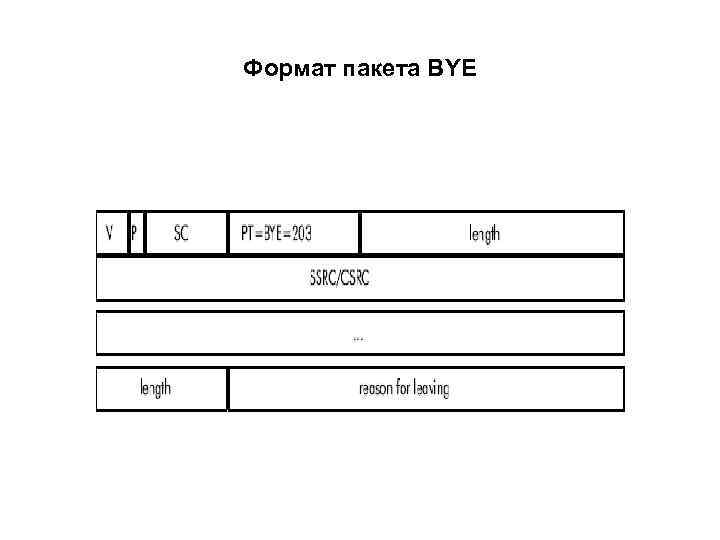 Формат пакета BYE 