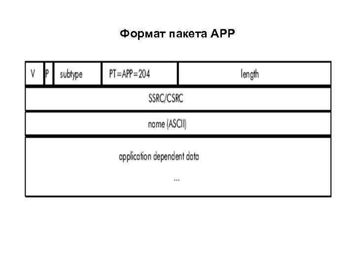 Формат пакета APP 