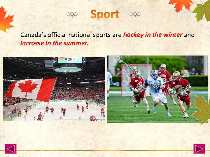 Canada’s official national sports are hockey in the winter and lacrosse in the summer.