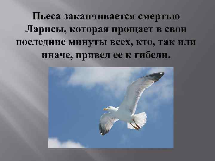 Пьеса заканчивается смертью Ларисы, которая прощает в свои последние минуты всех, кто, так или