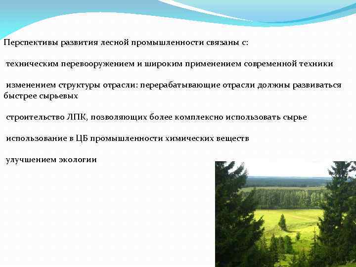 Используя документ определить перспективы развития лесного комплекса