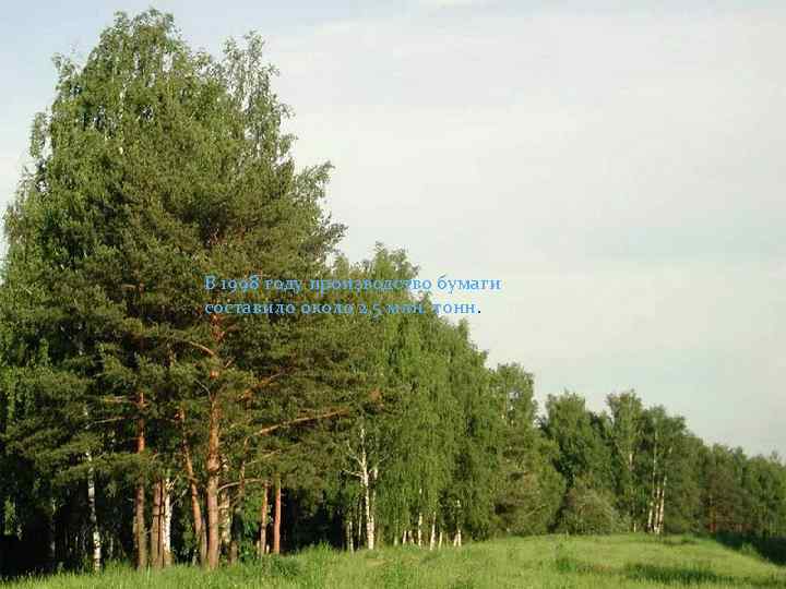 В 1998 году производство бумаги составило около 2, 5 млн. тонн. 
