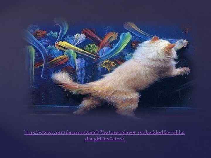 http: //www. youtube. com/watch? feature=player_embedded&v=e. Lhu d 5 ng. HDw#at=37 