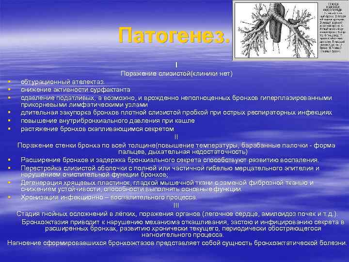 Патогенез. I Поражение слизистой(клиники нет) § § § обтурационный ателектаз. снижение активности сурфактанта сдавление