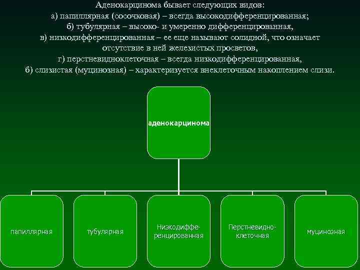 Аденокарцинома бывает следующих видов: а) папиллярная (сосочковая) – всегда высокодифференцированная; б) тубулярная – высоко-