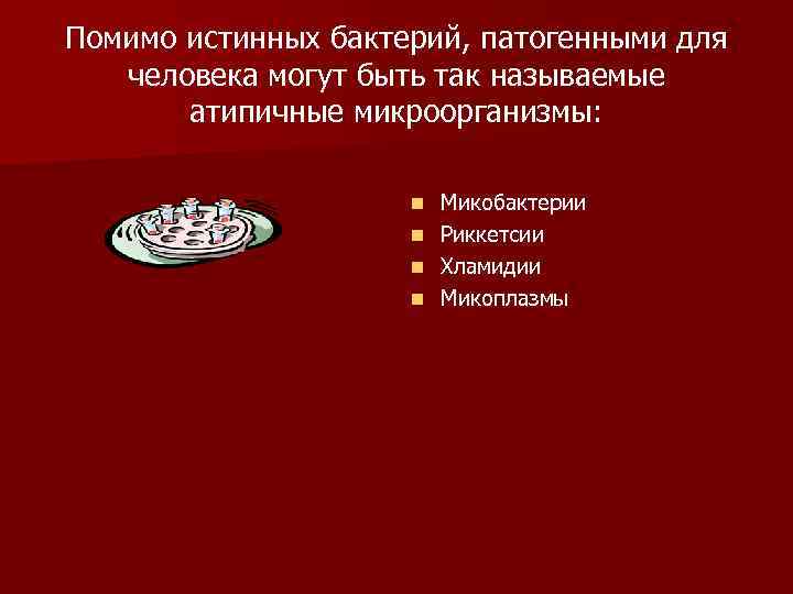 Помимо истинных бактерий, патогенными для человека могут быть так называемые атипичные микроорганизмы: Микобактерии n