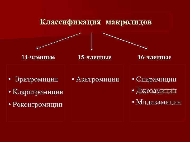 Классификация макролидов 14 -членные • Эритромицин 15 -членные 16 -членные • Азитромицин • Спирамицин
