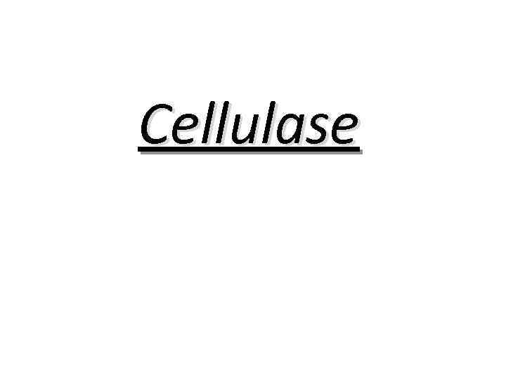 Cellulase 