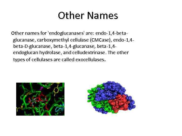 Other Names Other names for 'endoglucanases' are: endo-1, 4 -beta- glucanase, carboxymethyl cellulase (CMCase),