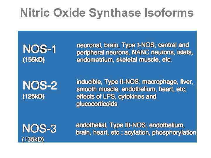 Nitric Oxide Synthase Isoforms 